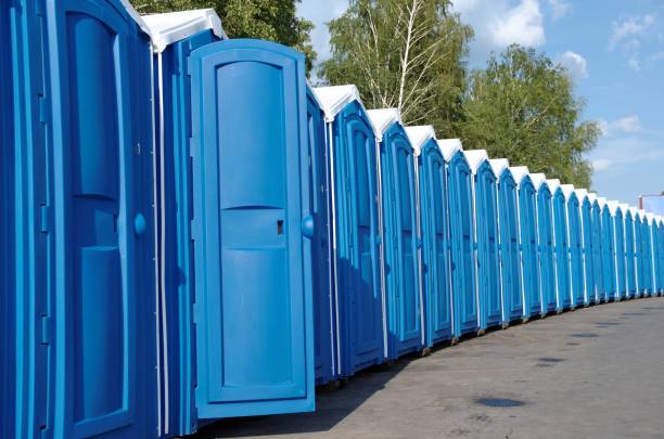 Best Porta potty rental for festivals  in Northville, MI